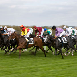Paardenraces in Calvados