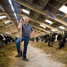 Boer in koeienstal op Landgoed de Utrecht